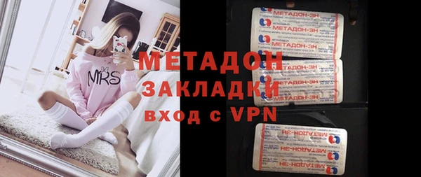 шишки Абаза