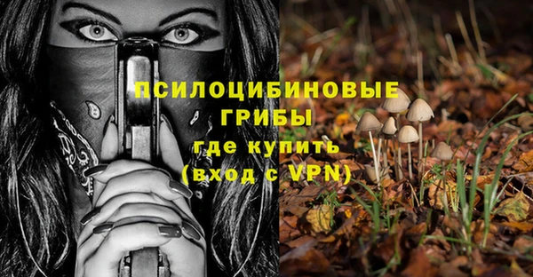 таблы Алзамай