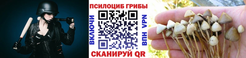 Псилоцибиновые грибы мицелий купить наркотики цена Белоозёрский